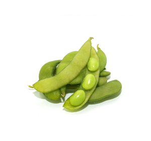 بذور الفول – Bean seed