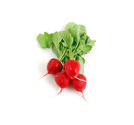 بذور الفجل - Radish Seed