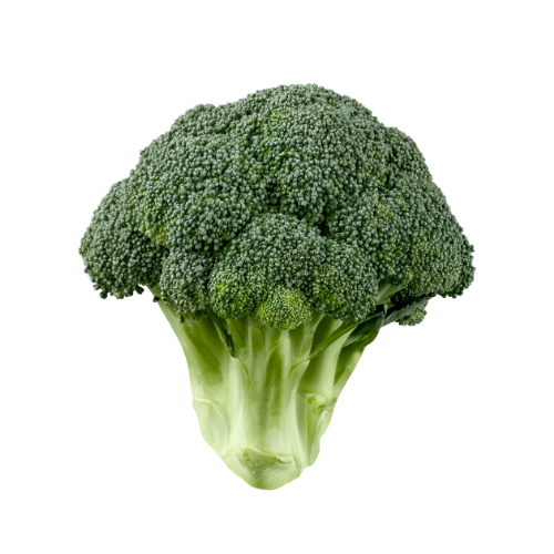 ﺑﺬور ﺑﺮوﻛﻠﻲ - Broccoli Seeds