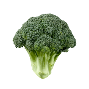 ﺑﺬور ﺑﺮوﻛﻠﻲ - Broccoli Seeds