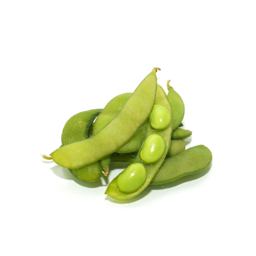 بذور الفول – Bean seed