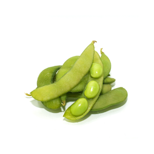 بذور الفول – Bean seed